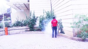 residential pest control services