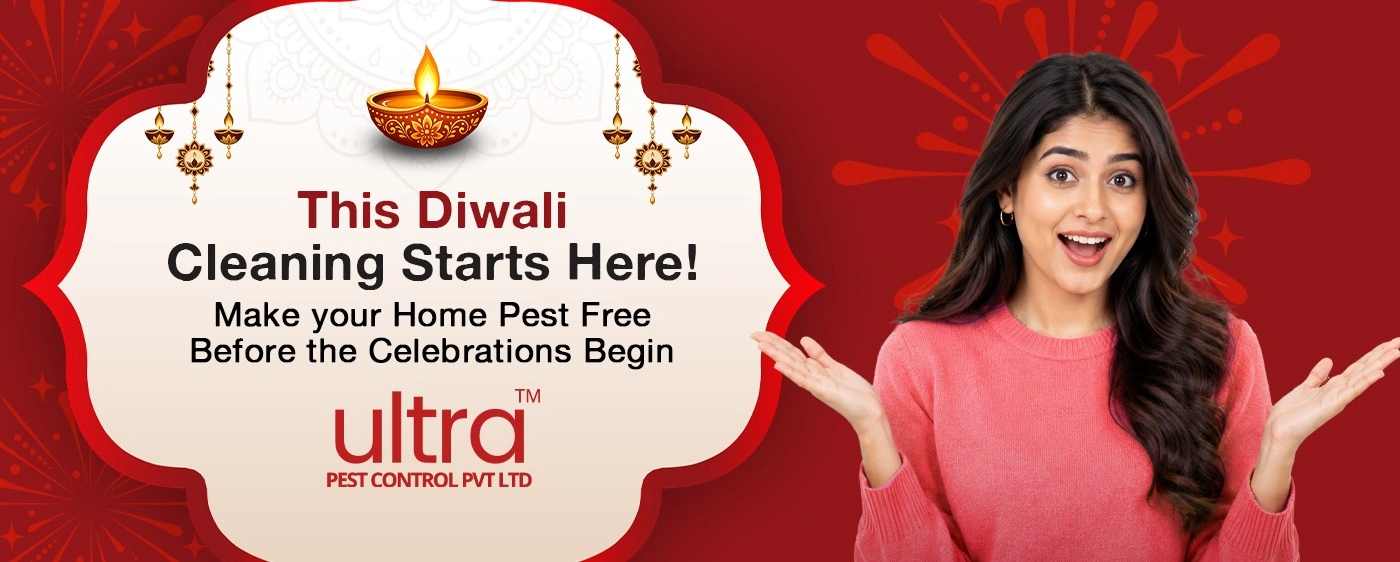 Diwali Post - UPC