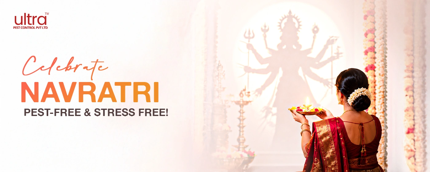Navratri-DV