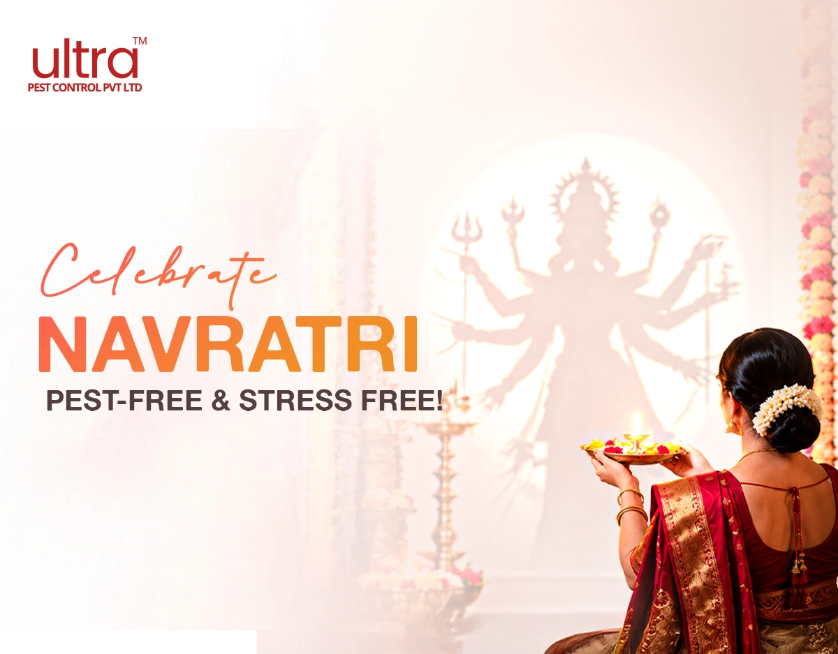 Navratri-MV